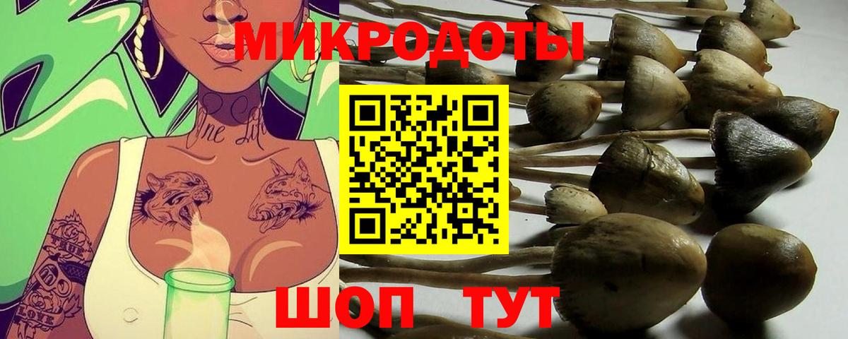 Галлюциногенные грибы прущие грибы  Галлюциногенные грибы мухоморы  Вход с VPN  Соль-Илецк 