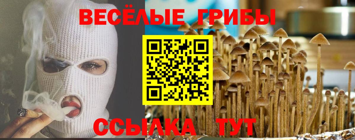 Псилоцибиновые грибы GOLDEN TEACHER Соль-Илецк